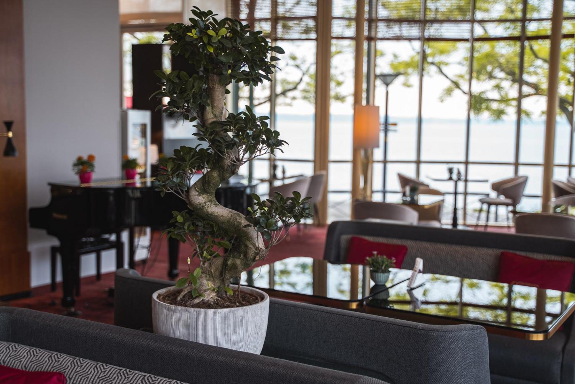 Beau Rivage Hotel Neuchâtel Eksteriør bilde Ficus benjamina in a hotel lobby